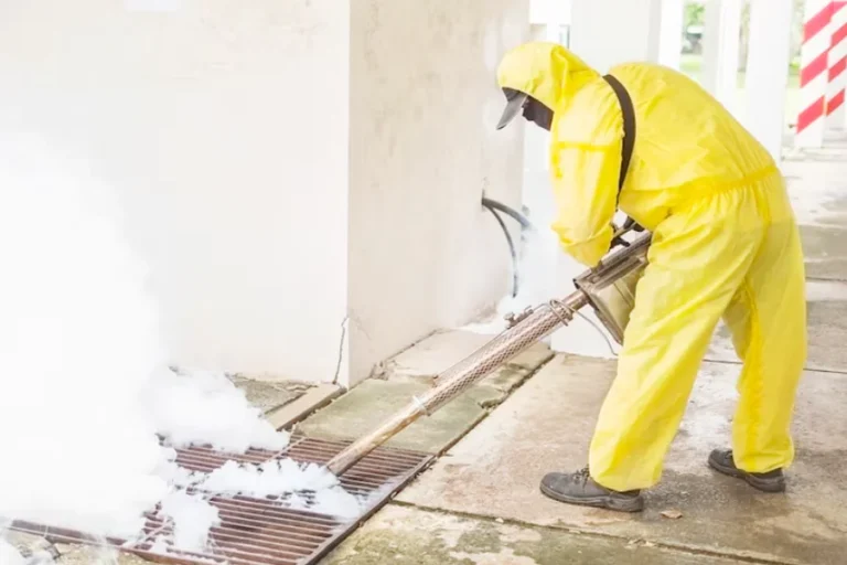 Termite Control Helps