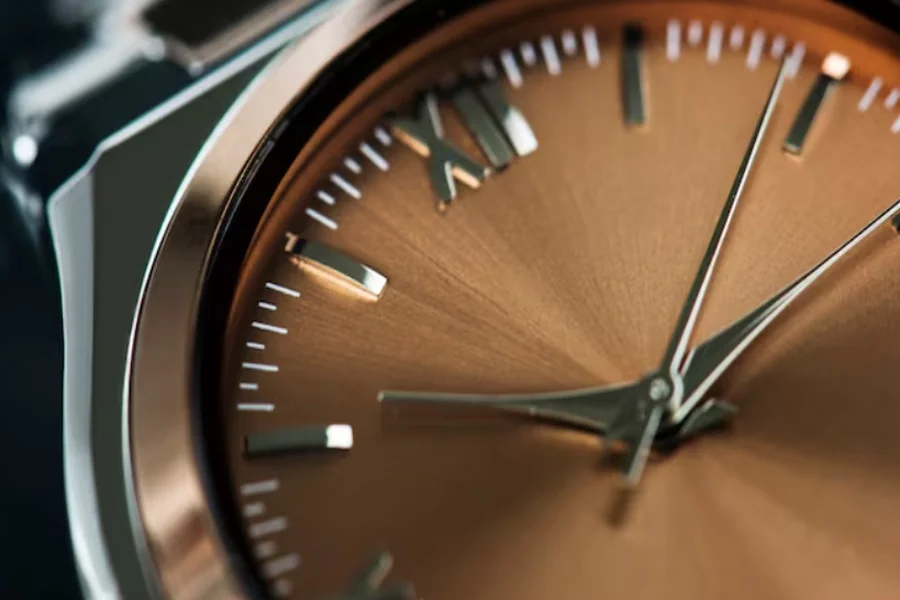TUDOR Watch